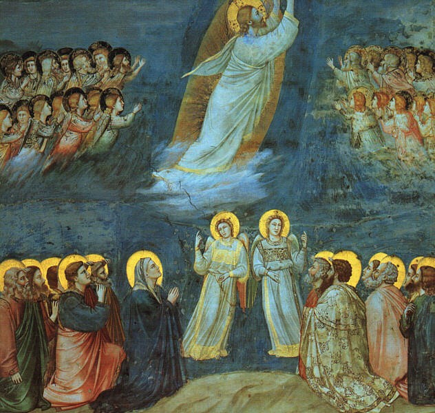 Ascension Giotto.jpg