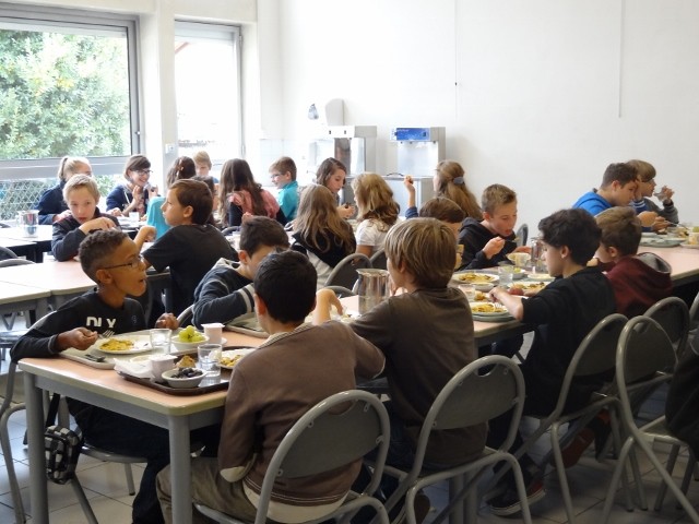 DSC02086 (640x480).jpg