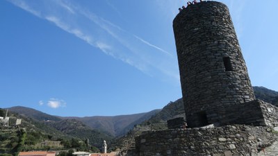 DSC03956 - Copie.JPG