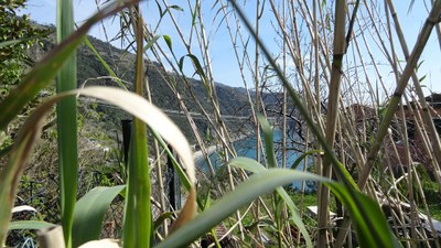 DSC03964 - Copie.JPG